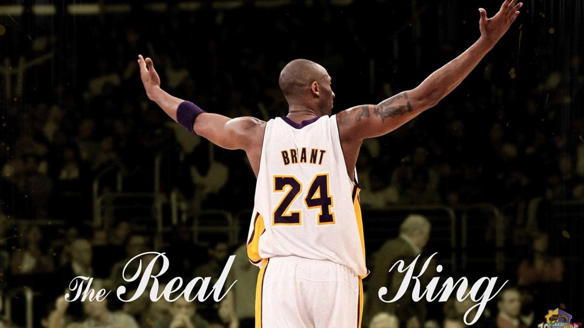 综合体育系体操技巧大赛 高难度成套动作频频亮相